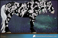 Horse Color:Watercolor Silver Bay Ice Dun Sabino Appaloosa 