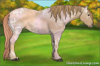 Horse Color:Chestnut Ice 