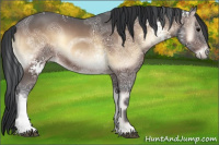 Horse Color:White Spotted Brown Ice Onyx