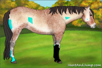 Horse Color:Bay Ice Onyx 