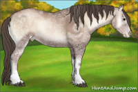 Horse Color:Blue Onyx Ice Pearl Tobiano 