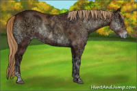 Horse Color:Red Onyx Ice Rabicano 
