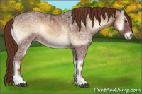 Horse Color:Red Onyx Ice
