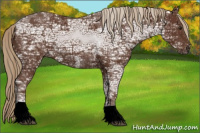 Horse Color:Liver Chestnut Ice Tobiano 