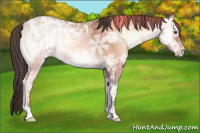 Horse Color:Amber Champagne Ice Onyx 