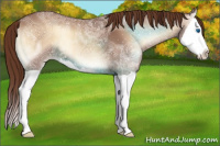 Horse Color:Red Onyx Ice Splash 