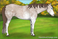 Horse Color:White Spotted Black Ice Pearl Splash 