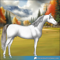 Horse Color:Liver Red Dun Appaloosa Brindle 