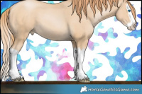 Horse Color:Smoky Black Pearl Splash 