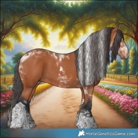 Horse Color:Bay Tobiano 