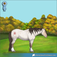 Horse Color:Amber Champagne Roan Dun 
