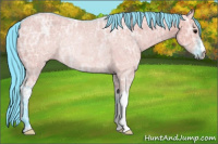 Horse Color:Watercolor Grullo Ice Rabicano 