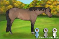 Horse Color:Brown Dun