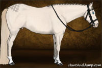 Horse Color:Perlino