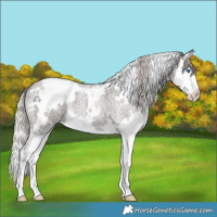 Horse Color:White Spotted Silver Blue Roan Splash 