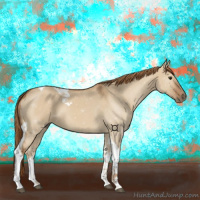 Horse Color:Red Dun Tobiano 