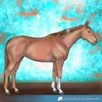 Horse Color:Chestnut Tobiano 