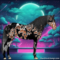 Horse Color:Bay Tobiano Appaloosa 