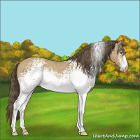 Horse Color:White Spotted Classic Cream Champagne Roan 