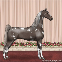 Horse Color:White Spotted Silver Black Tobiano 