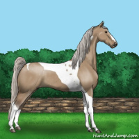Horse Color:Silver Grullo Tobiano 