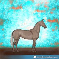 Horse Color:Silver Grullo