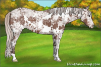 Horse Color:White Spotted Silver Brown Ice 