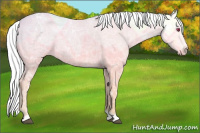 Horse Color:Chestnut Chinchilla Ice 