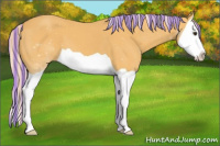 Horse Color:Painted Palomino Splash 