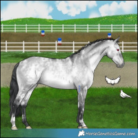 Horse Color:White Spotted Brown Chinchilla Dun 