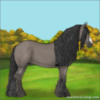 Horse Color:Grullo 