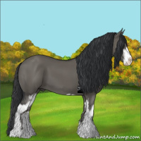 Horse Color:Grullo Sabino 