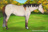 Horse Color:Brown Roan Dun Mushroom 