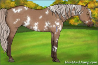 Horse Color:White Spotted Silver Brown Dun 