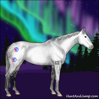 Horse Color:Gray Void Bay Ice Tobiano 