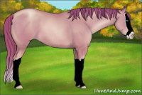 Horse Color:Smoky Black Pearl Splash 