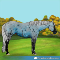 Horse Color:ERROR: UNKNOWN ANOMALY