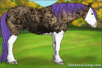 Horse Color:Watercolor Bay Ice Dun Splash 