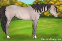 Horse Color:Platinum Amber Champagne 