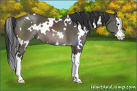 Horse Color:Platinum White Spotted Brown Splash