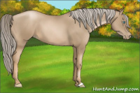Horse Color:Chocolate Palomino Pearl 