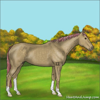 Horse Color:Painted Silver Smoky Black