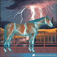 Horse Color:Thunderstruck Bay 