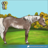 Horse Color:White Spotted Liver Red Dun Mushroom 