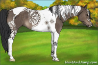 Horse Color:Brown Dun Tobiano 