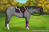 Horse Color:Blue Roan