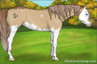 Horse Color:Chocolate Palomino Dun Splash 