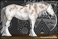 Horse Color:Bay Sabino 