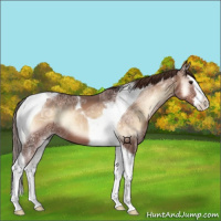 Horse Color:Red Onyx Ice Splash Tobiano 