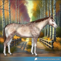 Horse Color:Red Onyx Ice 